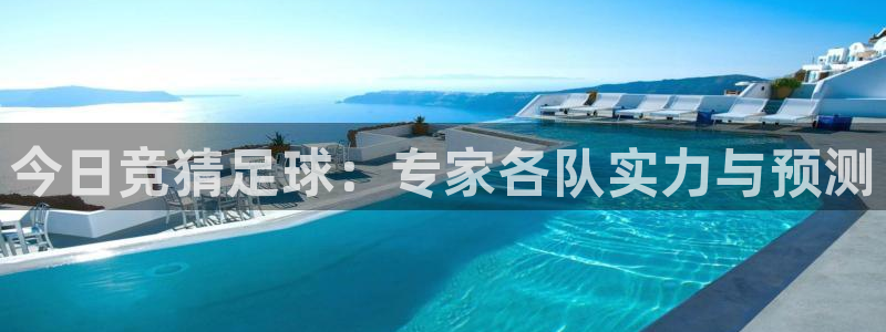 今日竞猜足球：专家各队实力与预测