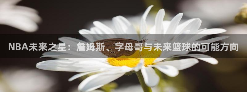 NBA未来之星：詹姆斯、字母哥与未来篮球的可能方向