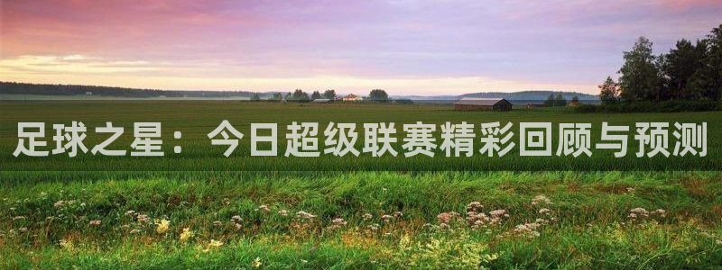 足球之星：今日超级联赛精彩回顾与预测