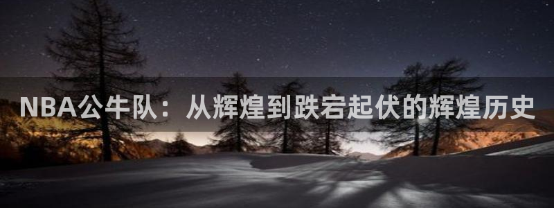 NBA公牛队：从辉煌到跌宕起伏的辉煌历史