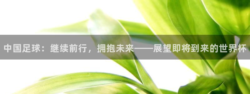 中国足球：继续前行，拥抱未来——展望即将到来的世界杯