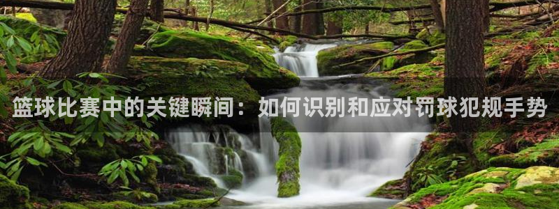 篮球比赛中的关键瞬间：如何识别和应对罚球犯规手势