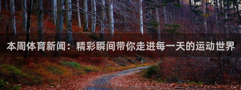 本周体育新闻：精彩瞬间带你走进每一天的运动世界