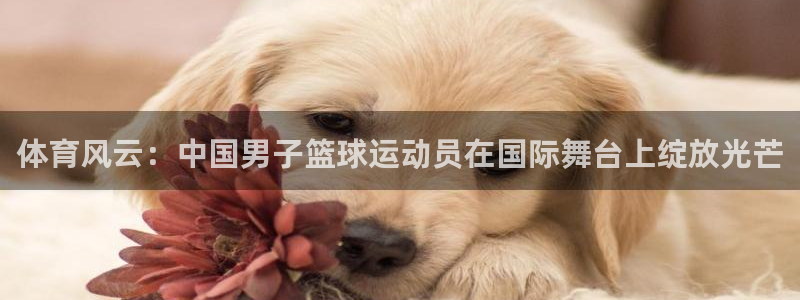 体育风云：中国男子篮球运动员在国际舞台上绽放光芒