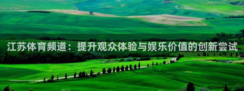江苏体育频道：提升观众体验与娱乐价值的创新尝试