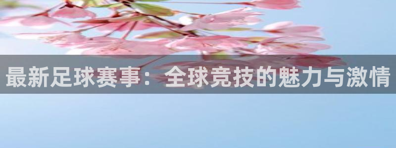 最新足球赛事：全球竞技的魅力与激情