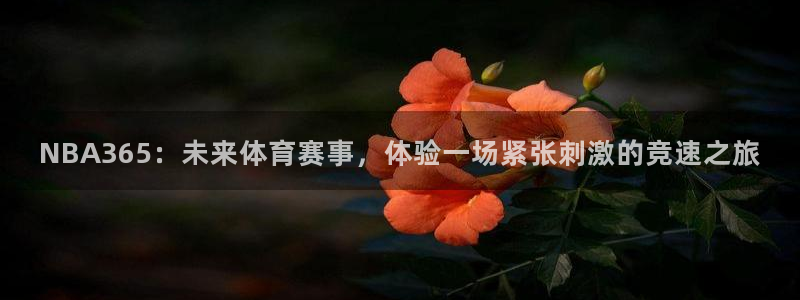 NBA365：未来体育赛事，体验一场紧张刺激的竞速之旅