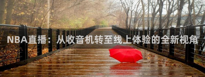 NBA直播：从收音机转至线上体验的全新视角