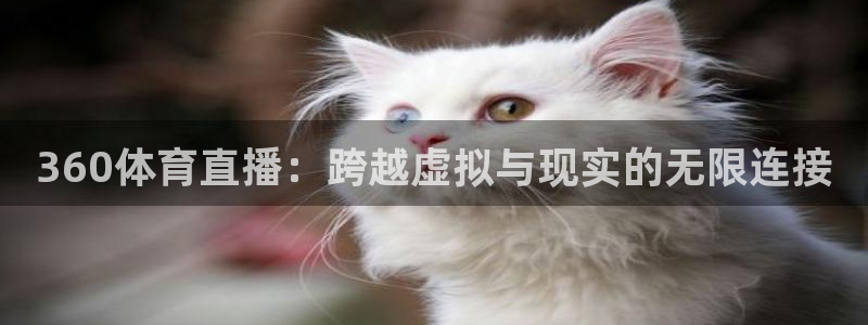 360体育直播：跨越虚拟与现实的无限连接