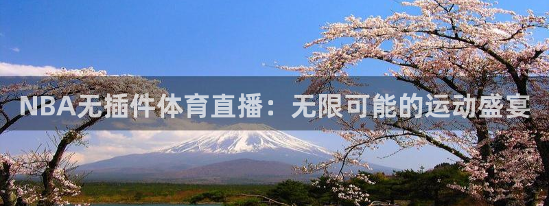 NBA无插件体育直播：无限可能的运动盛宴