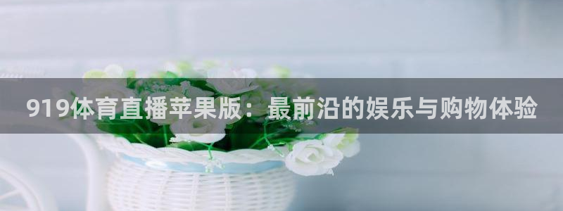 919体育直播苹果版：最前沿的娱乐与购物体验