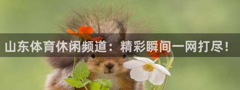 山东体育休闲频道：精彩瞬间一网打尽！
