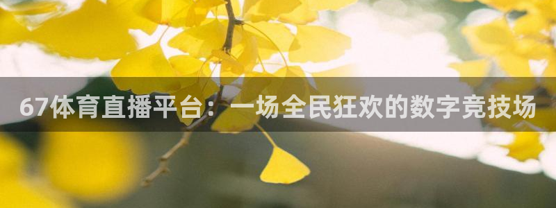 67体育直播平台：一场全民狂欢的数字竞技场