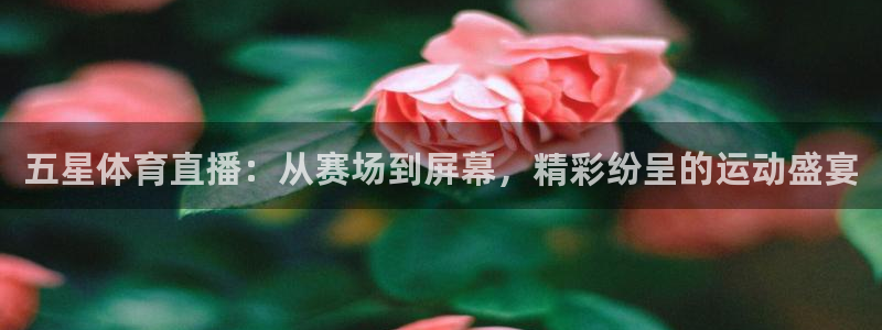五星体育直播：从赛场到屏幕，精彩纷呈的运动盛宴