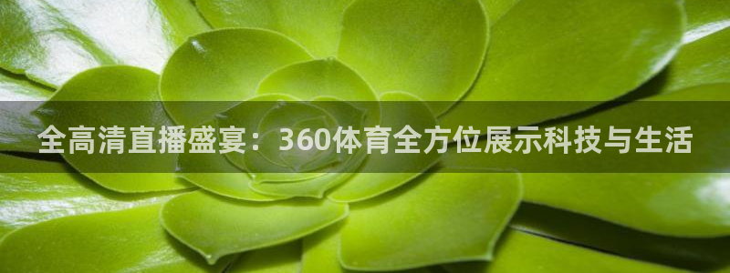 全高清直播盛宴：360体育全方位展示科技与生活