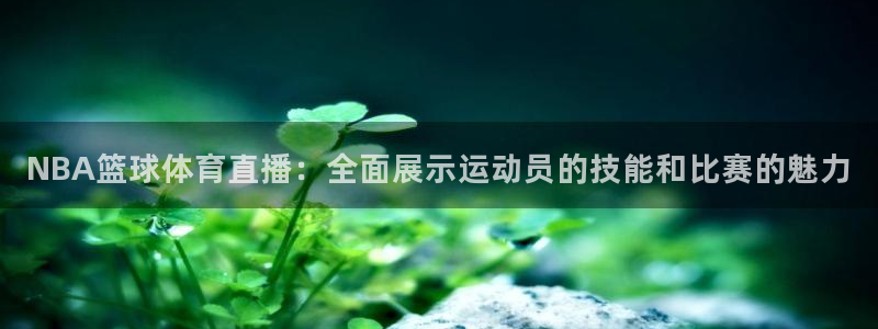 NBA篮球体育直播：全面展示运动员的技能和比赛的魅力