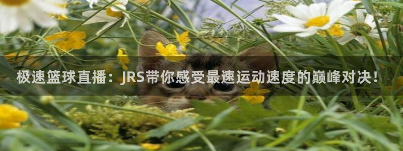 极速篮球直播：JRS带你感受最速运动速度的巅峰对决！