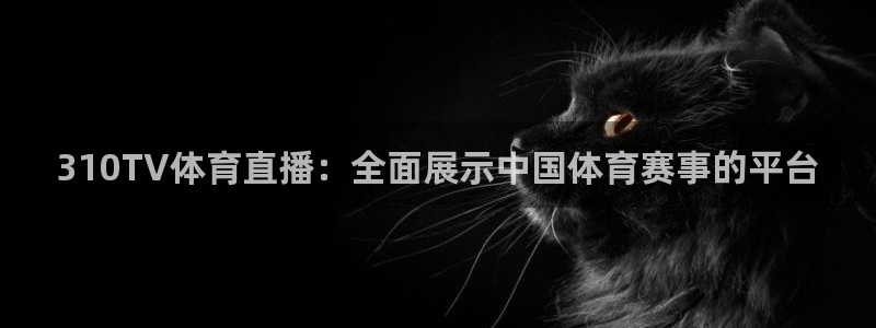 310TV体育直播：全面展示中国体育赛事的平台