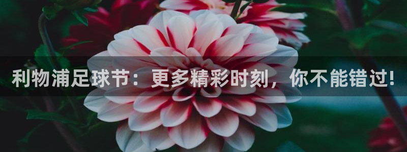利物浦足球节：更多精彩时刻，你不能错过!