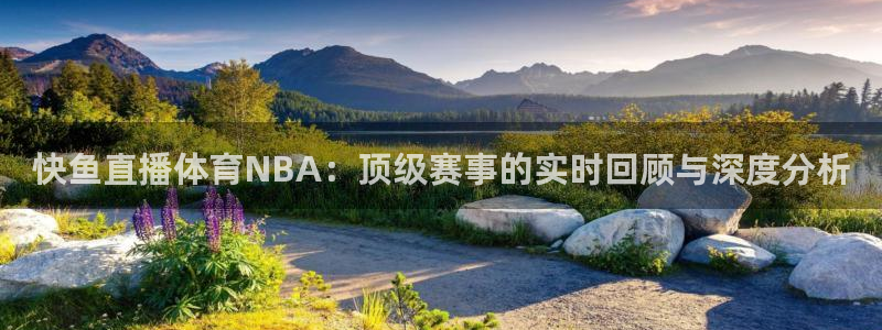 快鱼直播体育NBA：顶级赛事的实时回顾与深度分析