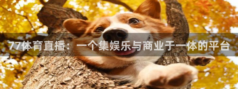 77体育直播：一个集娱乐与商业于一体的平台