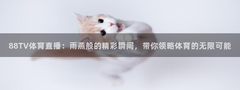 88TV体育直播：雨燕般的精彩瞬间，带你领略体育的无限可能
