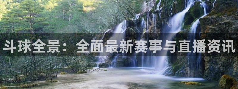 斗球全景：全面最新赛事与直播资讯