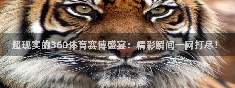 超现实的360体育赛博盛宴：精彩瞬间一网打尽！