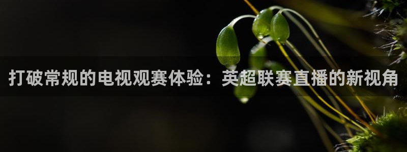 打破常规的电视观赛体验：英超联赛直播的新视角