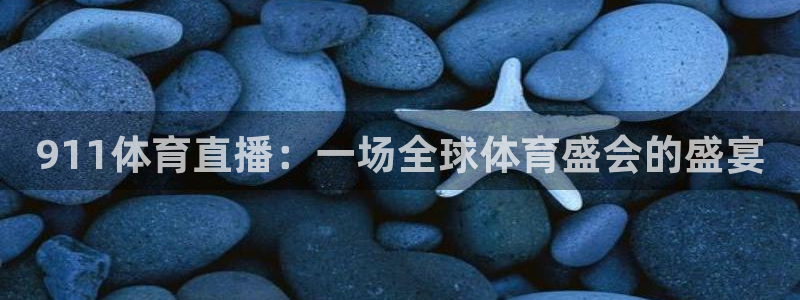 911体育直播：一场全球体育盛会的盛宴