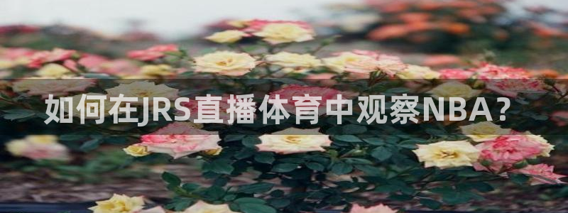 如何在JRS直播体育中观察NBA？