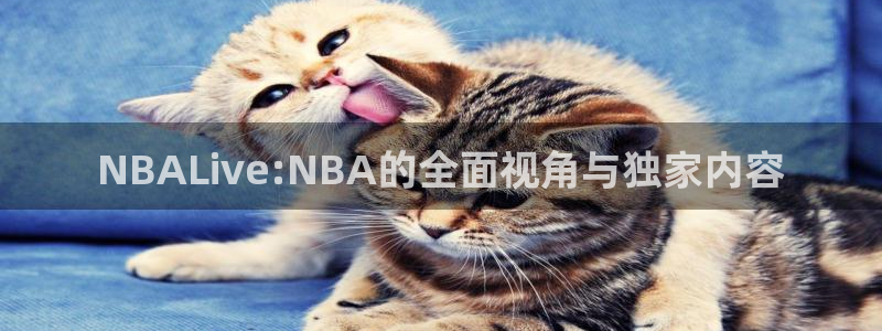 NBALive:NBA的全面视角与独家内容