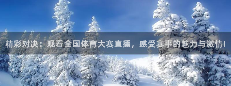 精彩对决：观看全国体育大赛直播，感受赛事的魅力与激情!