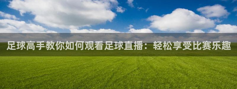足球高手教你如何观看足球直播：轻松享受比赛乐趣