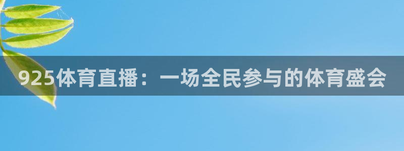 925体育直播：一场全民参与的体育盛会