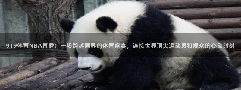 919体育NBA直播：一场跨越国界的体育盛宴，连接世界顶尖运动员和观众的心动时刻