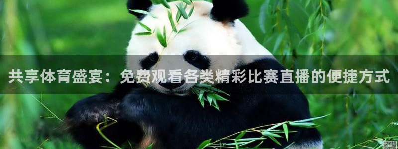 共享体育盛宴：免费观看各类精彩比赛直播的便捷方式