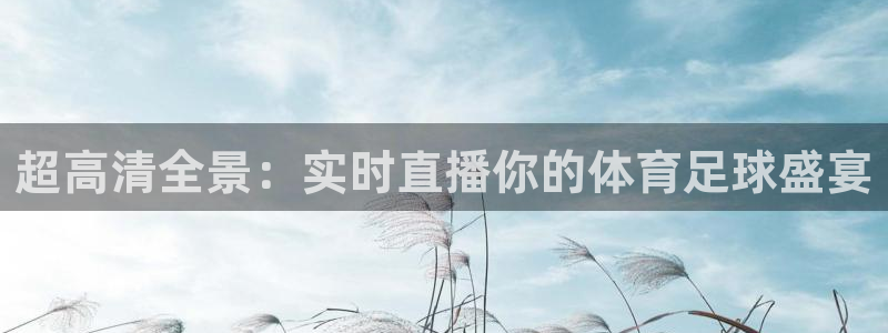 超高清全景：实时直播你的体育足球盛宴