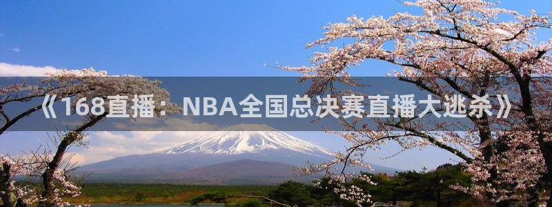 《168直播：NBA全国总决赛直播大逃杀》