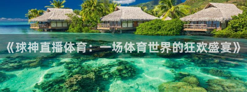 《球神直播体育：一场体育世界的狂欢盛宴》