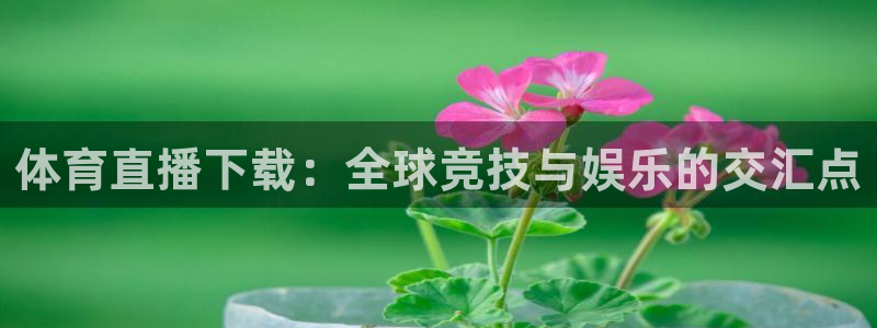 体育直播下载：全球竞技与娱乐的交汇点