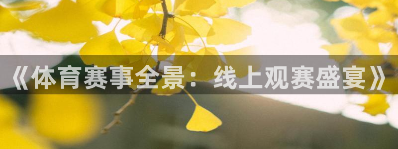 《体育赛事全景：线上观赛盛宴》