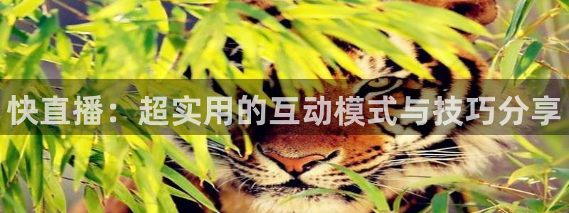 快直播：超实用的互动模式与技巧分享