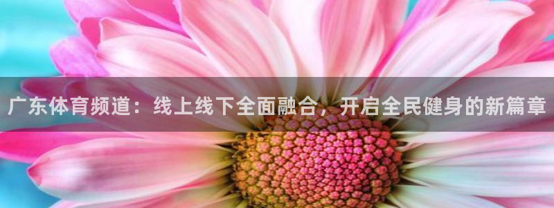 广东体育频道：线上线下全面融合，开启全民健身的新篇章
