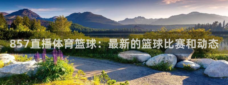 857直播体育篮球：最新的篮球比赛和动态