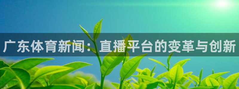 广东体育新闻：直播平台的变革与创新