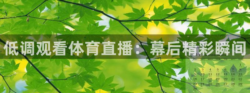 低调观看体育直播：幕后精彩瞬间