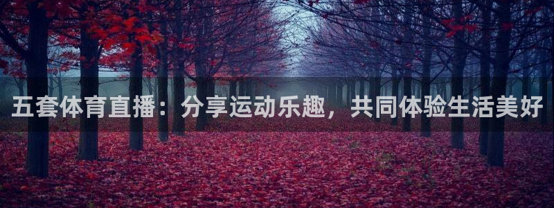 五套体育直播：分享运动乐趣，共同体验生活美好