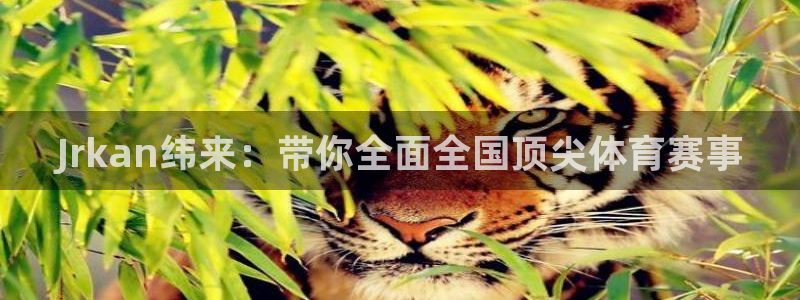 Jrkan纬来：带你全面全国顶尖体育赛事