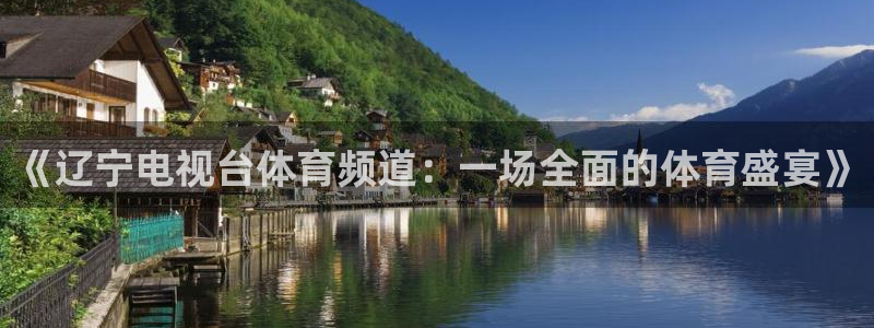 《辽宁电视台体育频道：一场全面的体育盛宴》